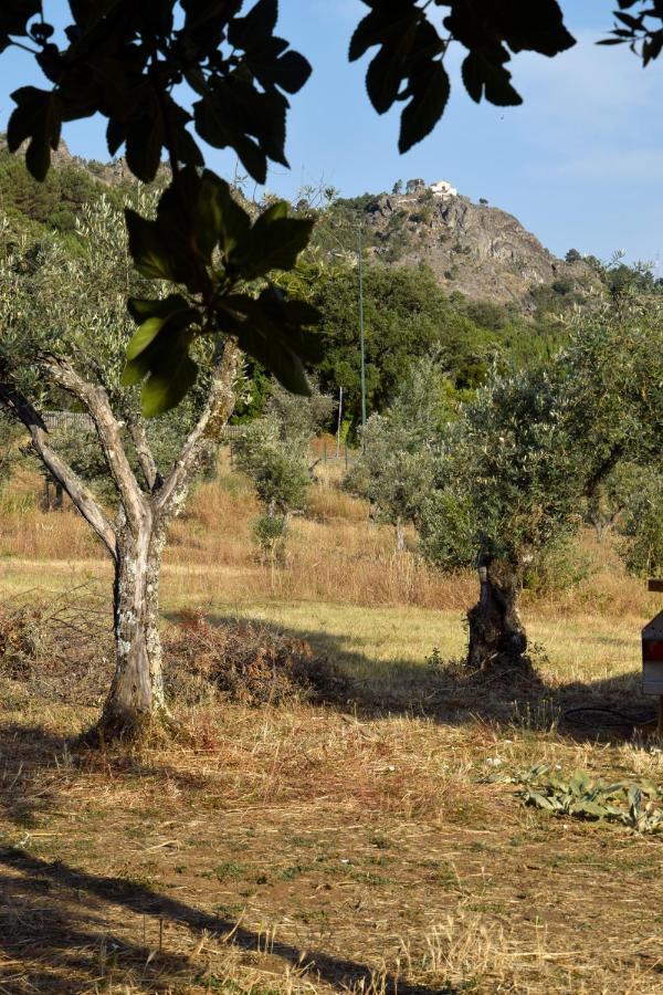 Ola Linda - Casa De Campo - Castelo de Vide Exteriér fotografie