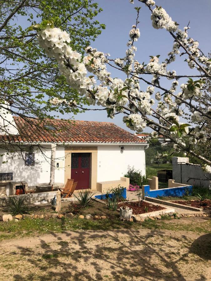 Ola Linda - Casa De Campo - Castelo de Vide Exteriér fotografie